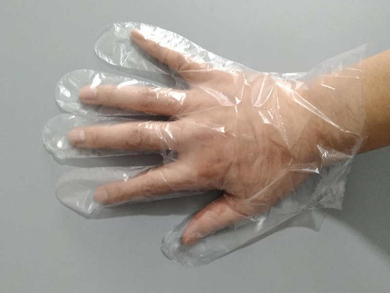 PE Gloves