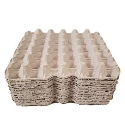 Eco-Friendly Biodegradable Recycled Paper Pulp Egg Trays – High-Performance Protection for Poultry Transport and Retail