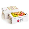 Cantaloupe Avocado Banana Corrugated Carton Box