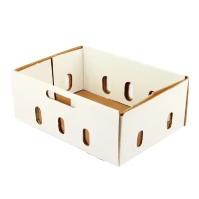High Quality Custom Corrugated Cardboard Die Cut Fruit Vegetable Packaging Carton Box