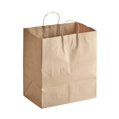 Custom Printed Kraft Paper Shopping Gift Bags – Eco-Friendly Reinforced Handled Packaging Custom Printed Kraft Paper Shopping Gift Bags – Eco-Friendly Reinforced Handled Packaging