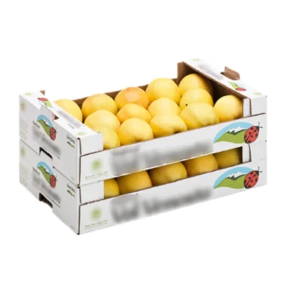 Wholesale Tomato Box Fruit Carton Box Vegetable Packaging Box Wholesale Tomato Box Fruit Carton Box Vegetable Packaging Box