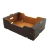 Cantaloupe Avocado Banana Corrugated Carton Box