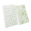 Professional EPP Hydroponic Floating Raft Trays – High-Buoyancy Foam Boards with Holes for Aquatic & Greenhouse Planting