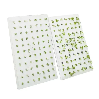 Professional EPP Hydroponic Floating Raft Trays – High-Buoyancy Foam Boards with Holes for Aquatic & Greenhouse Planting