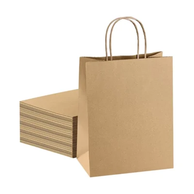 Custom Printed Kraft Paper Shopping Gift Bags – Eco-Friendly Reinforced Handled Packaging Custom Printed Kraft Paper Shopping Gift Bags – Eco-Friendly Reinforced Handled Packaging