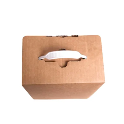 Custom Printed Cardboard Box with Ergonomic Plastic Handle Custom Printed Cardboard Box with Ergonomic Plastic Handle