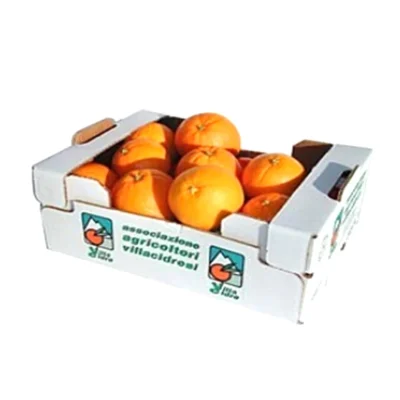 Customized High-Strength Fruit Carton Packaging for Big Oranges Customized High-Strength Fruit Carton Packaging for Big Oranges