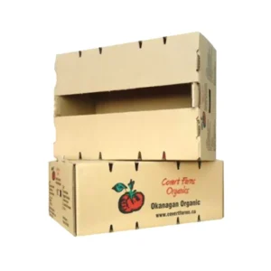 Customized High-Strength Fruit Carton Packaging for Big Oranges