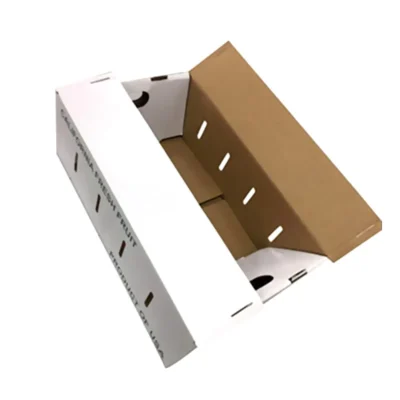 High Quality Custom Corrugated Cardboard Die Cut Fruit Vegetable Packaging Carton Box