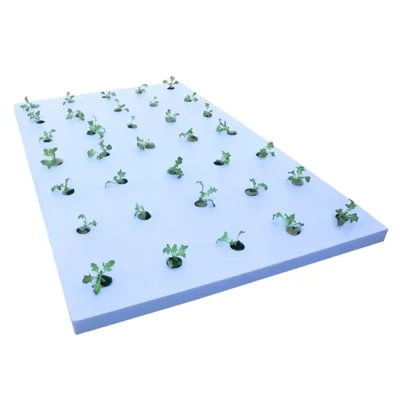 Professional EPP Hydroponic Floating Raft Trays – High-Buoyancy Foam Boards with Holes for Aquatic & Greenhouse Planting