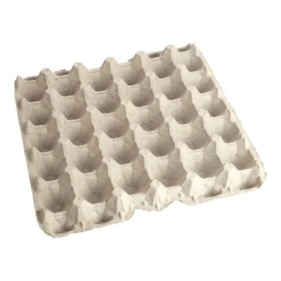 Eco-Friendly Biodegradable Recycled Paper Pulp Egg Trays – High-Performance Protection for Poultry Transport and Retail