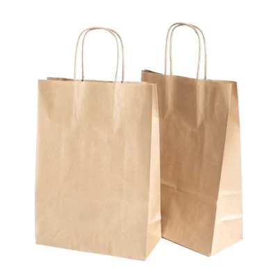 Custom Printed Kraft Paper Shopping Gift Bags – Eco-Friendly Reinforced Handled Packaging Custom Printed Kraft Paper Shopping Gift Bags – Eco-Friendly Reinforced Handled Packaging