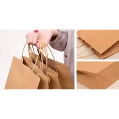 Eco-Friendly Twisted Handle Paper Bags – Durable Reinforced Carry Solutions for Retail & Shopping