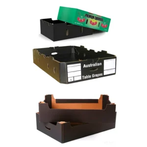 Custom Printed Fruit Gift Box with Handle