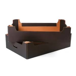 Premium Fresh Fruit Corrugated Shipping and Packaging Box
